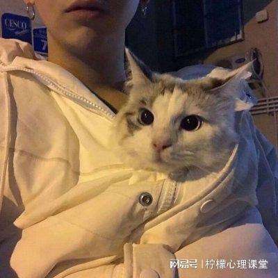 汉堡加工厂手游下载