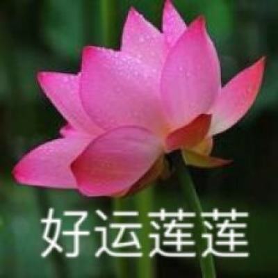 挂机当皇帝变态bt版下载